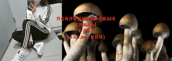 крисы Абинск