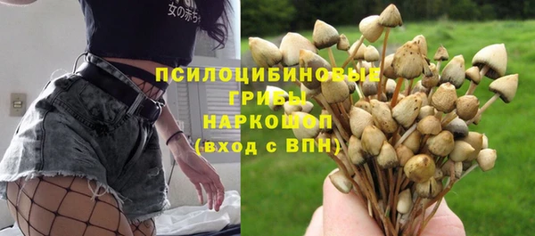 крисы Абинск